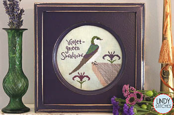 (image for) Violet Green Swallow